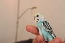 110914 --- R11